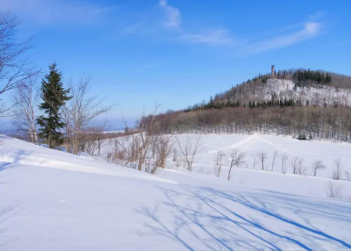 1 아파트 사이다